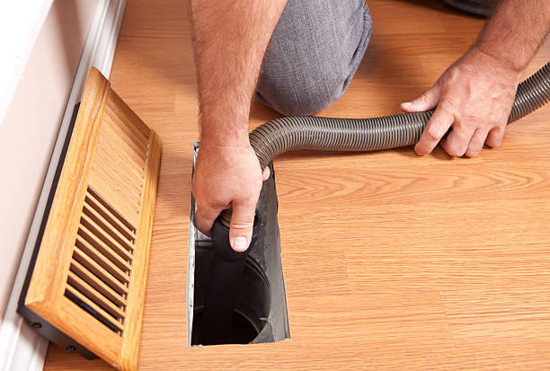 Best Air Duct Mold Removal  in Tea, SD